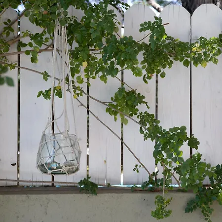 Vila Beachfront Alexandra